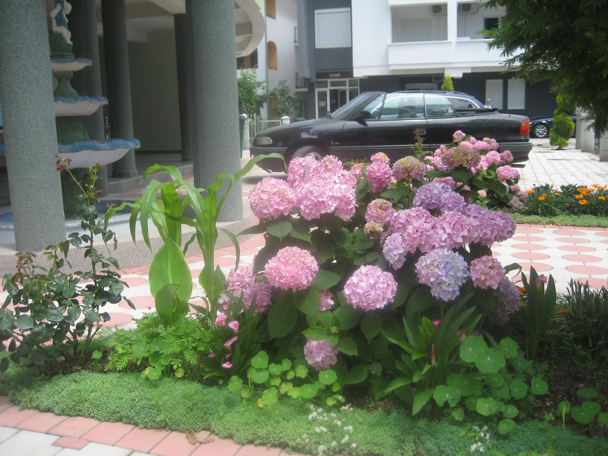 Guest House Vila Mimoza Ulcinj Ngoại thất bức ảnh