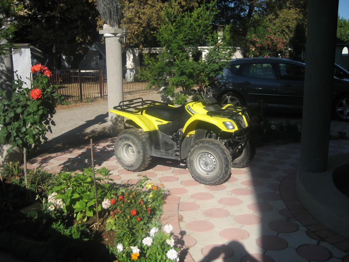Guest House Vila Mimoza Ulcinj Ngoại thất bức ảnh